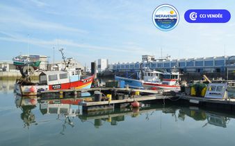 Centre de marée -  port de pêche des Sables - Centre de marée - visite guidée de la criée du port de pêche des Sables d'Olonne