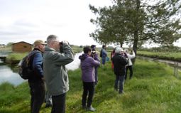 Guided tour: Over the marsh
