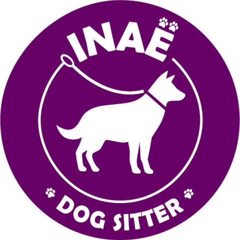Inaë - Dog Sitter