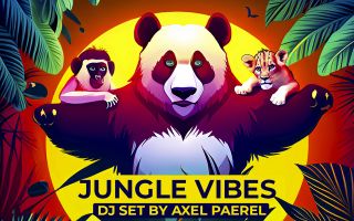 Soirée Jungle Vibes - DJ Axel Paerel