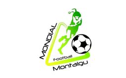 Mondial Football Montaigu -  Mexique - Pays Bas