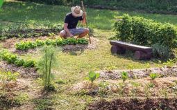 Atelier - Démarrer son potager en permaculture